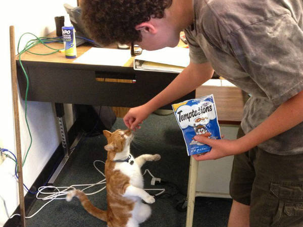 स्कूल टीचर्स के साथ फ्रैंडली स्कूल टीचर्स के साथ फ्रैंडली