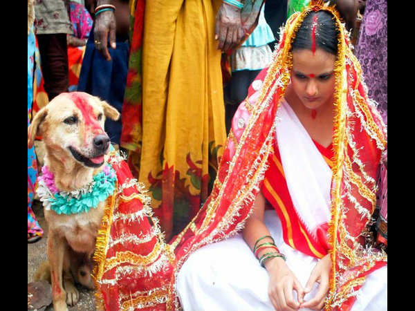 एक किशोरी ने आवारा कुत्ते से शादी की एक किशोरी ने आवारा कुत्ते से शादी की