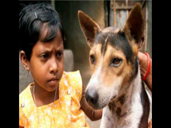 लड़की ने कुत्ते से विवाह किया लड़की ने कुत्ते से विवाह किया