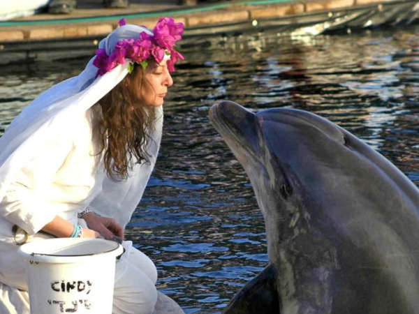 करोड़पति लड़की ने चुना डोलफ़िन को अपना पति करोड़पति लड़की ने चुना डोलफ़िन को अपना पति