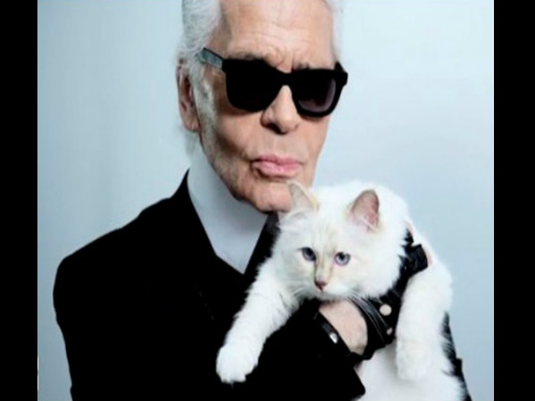 फैशन डिजाइनर करना चाहता था अपनी बिल्ली से शादी करना फैशन डिजाइनर करना चाहता था अपनी बिल्ली से शादी करना