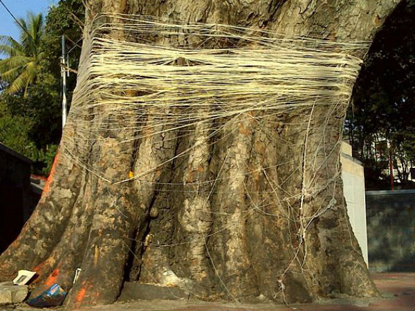  नारद जी ने बताया था सत्यवान की मृत्यु का दिन 