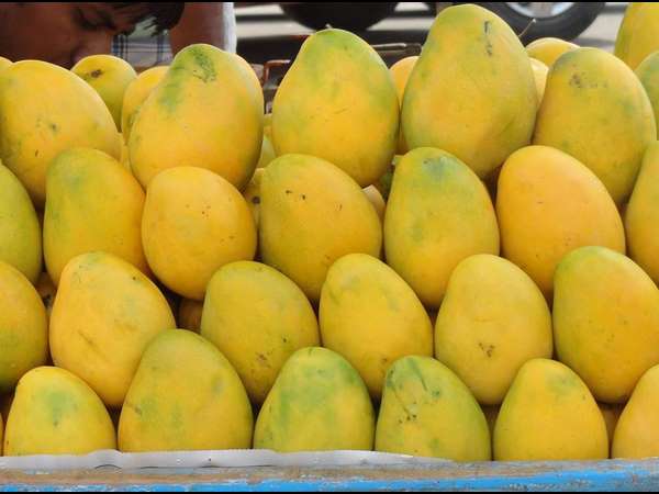  कितने आम खाएं कि आपको फोड़े फुंसियां न हों? 