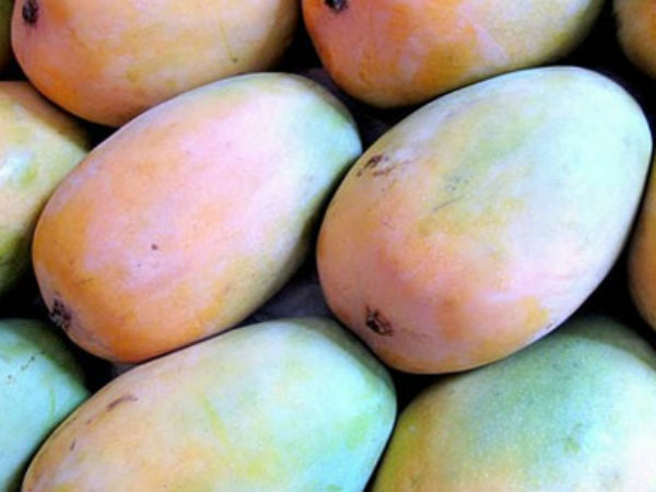 हमारी सलाह 