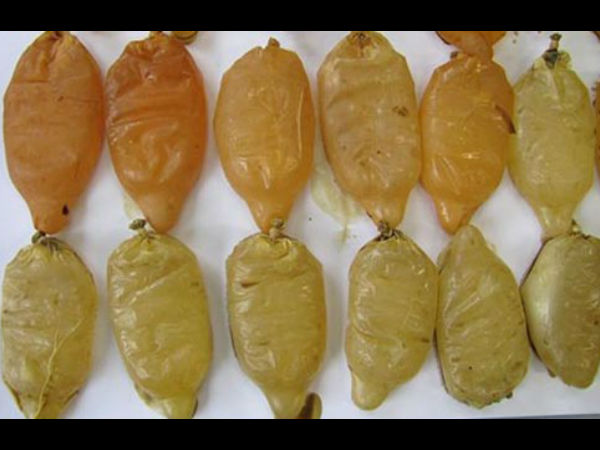 कैंपेन का मकसद कैंपेन का मकसद