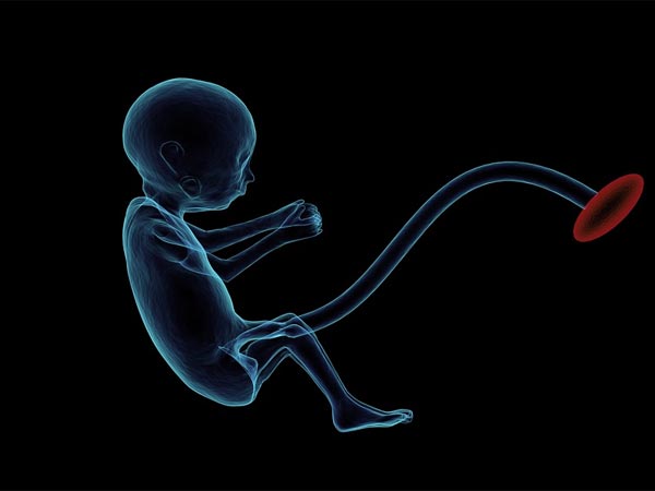 पुरुषों में महिलाओं का ब्‍लूप्रिंट होता हैं? 