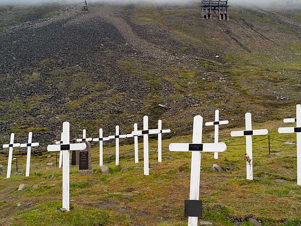 5 . फाल्सीआनो डेल मैसिको