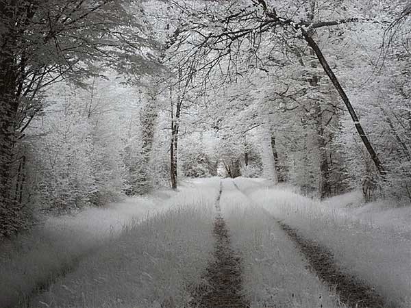 6. सरपौरेक्स, फ्रांस