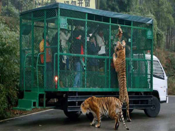 2015 से बना फेमस डेस्टिनेशन 