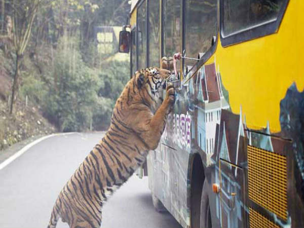 ये जानवर है इस जू में