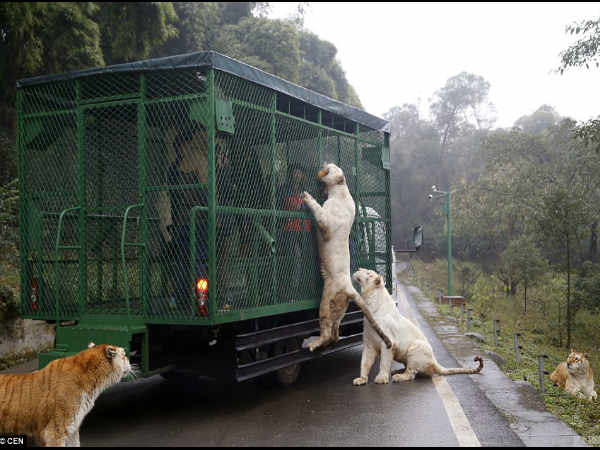 पहले ही कर दिया जाता है सावधान