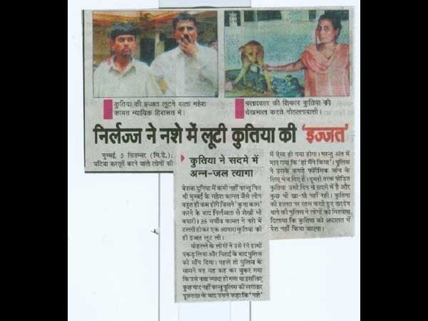 7. भाईसाहब..! यह हेंडिग तो पढि़ए 