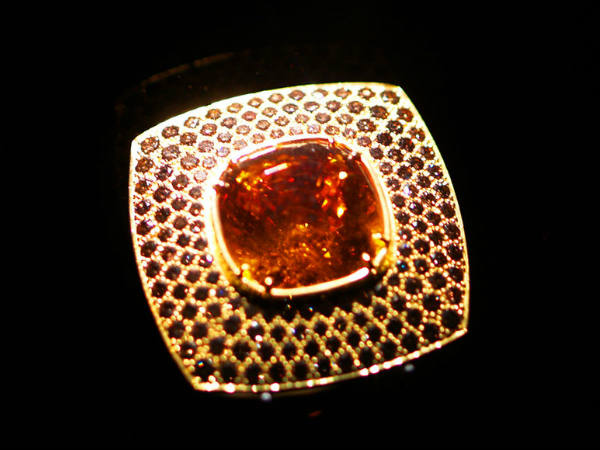 10. मकर : गारनेट 