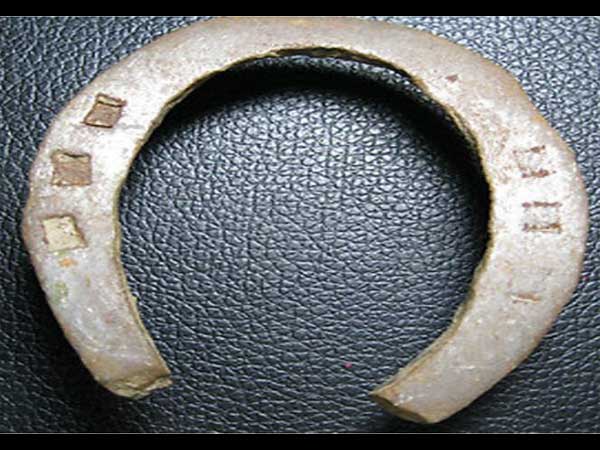 शनि की साढ़े साती या ढय्या चल रही हो 