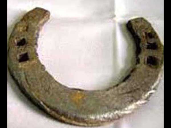 सरसो के तेल में काले घोड़े की नाल 