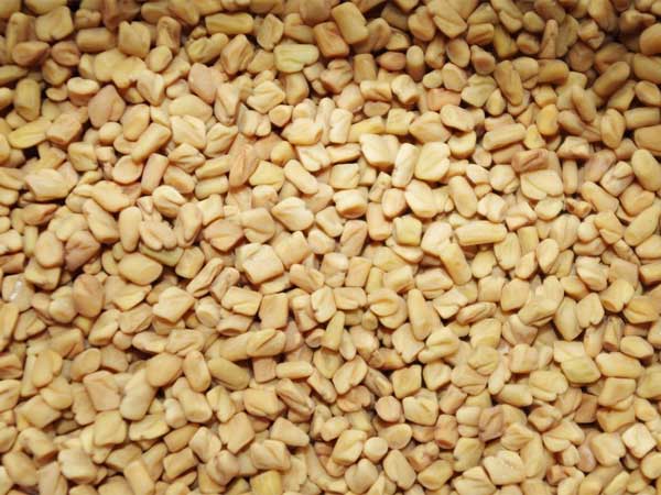 मेथीदाना