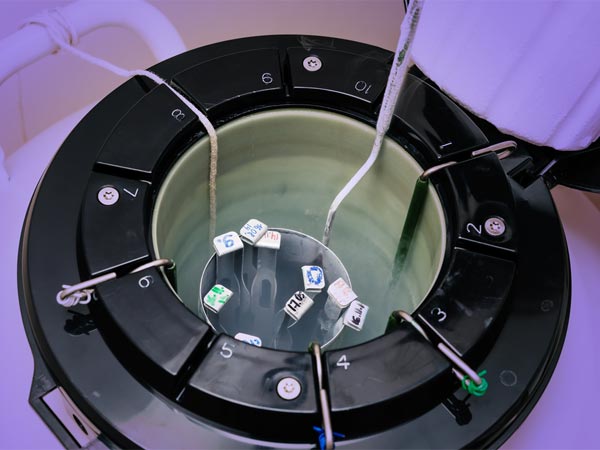 अंडाणु कैसे किया जाता है फ्रीज 