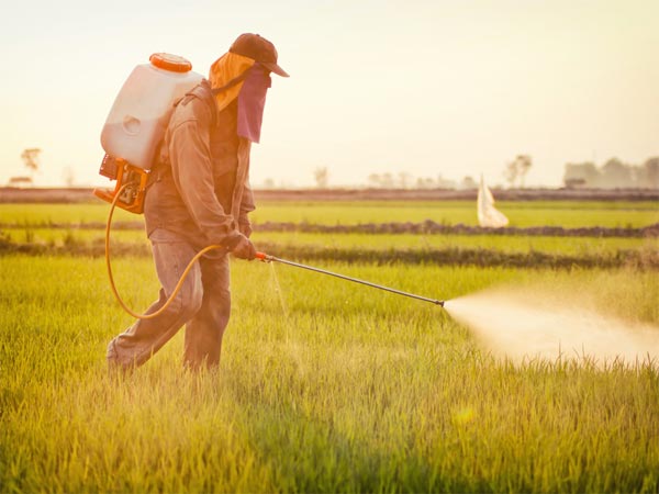 इन दो कारणों की वजह से 