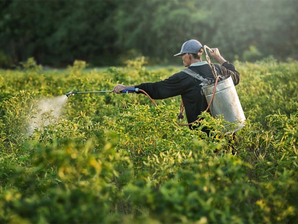 किसानों का तर्क