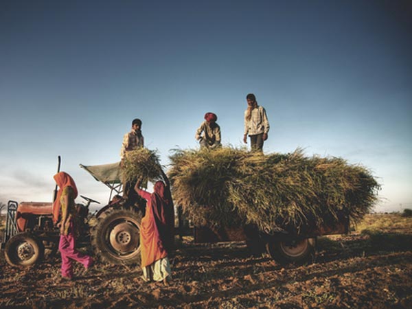कहां है शेखावाटी क्षेत्र 