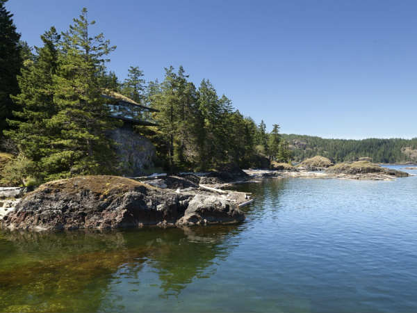 पेड़ों की ओट से बना बंगला पेड़ों की ओट से बना बंगला