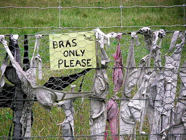 बढ़ती जा रही है संख्या 