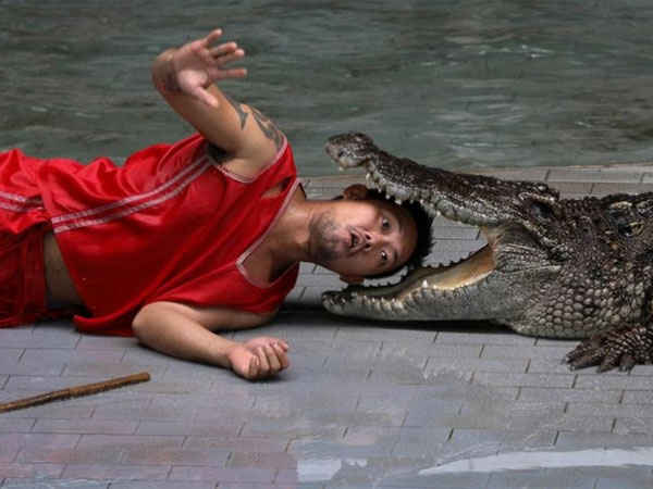 दुनिया के सबसे बड़े मगरमच्छ फार्म की ये तस्वीरें दुनिया के सबसे बड़े मगरमच्छ फार्म की ये तस्वीरें