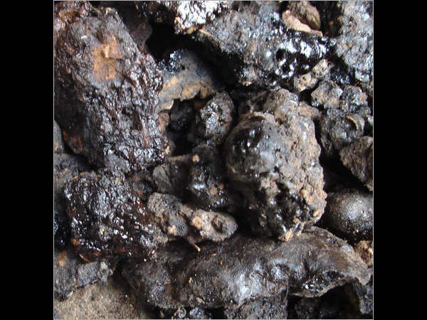 1- शिलाजीत