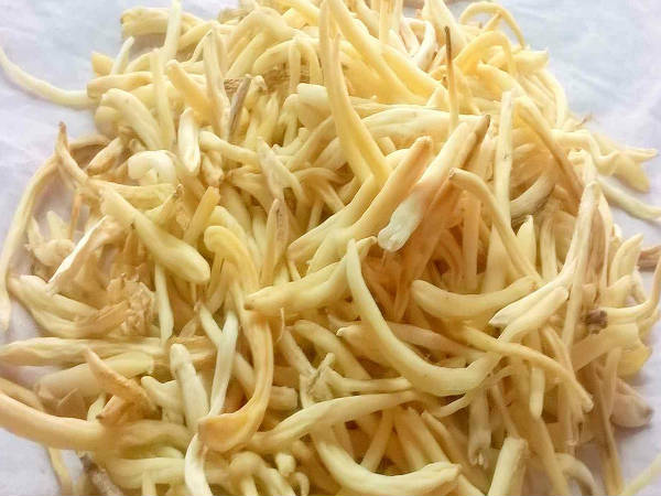 3- सफेद मूसली