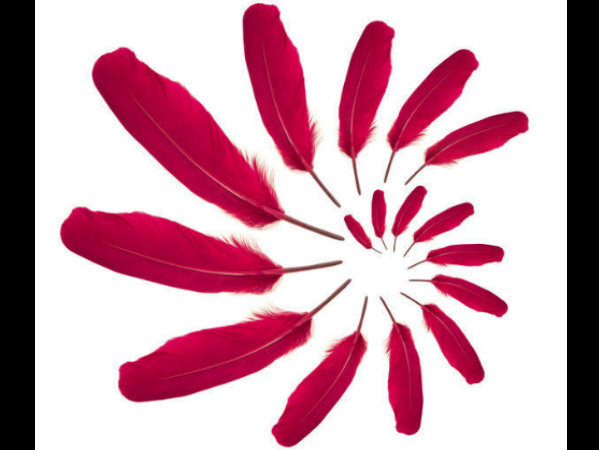 हेल्‍थ इश्‍यू