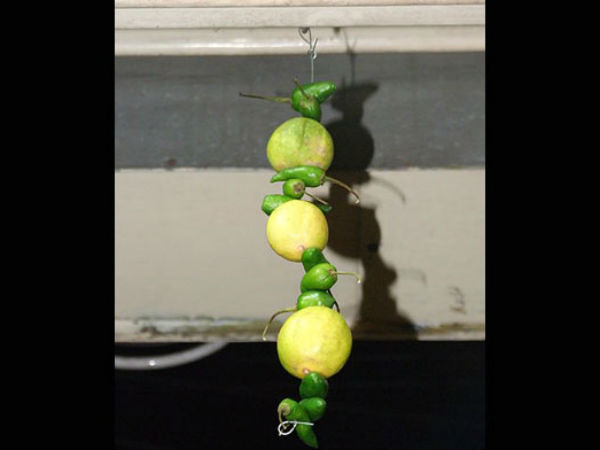 नजर बत्‍तू 