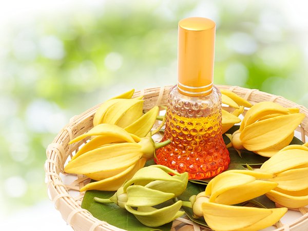 10. य्लंग य्लंग तेल: