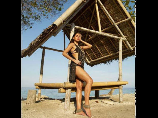 स्विम सूट में नजर आई 