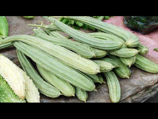 आसानी से मिल जाती है तोरई