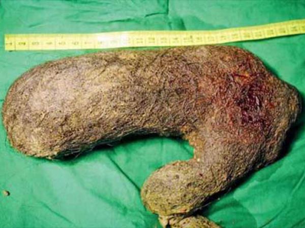 मुंबई में हुई ये अनोखी घटना