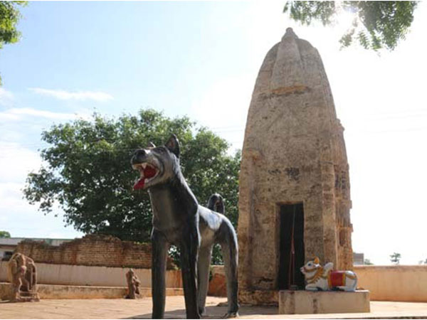 Where is the dog worshiping