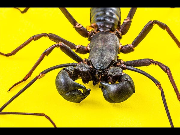 कपड़े से कसकर ना बांधे