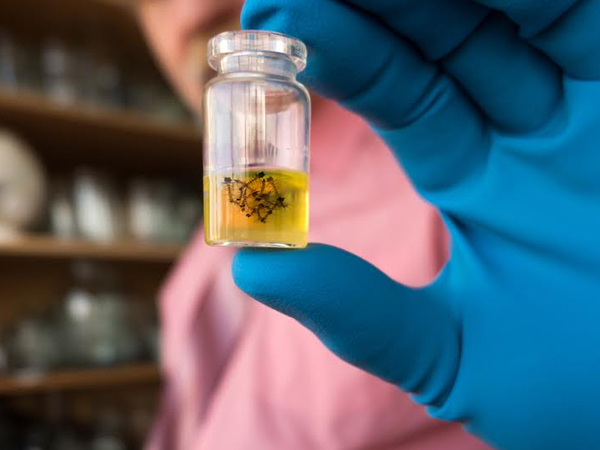 ऐसे रोगी ना जाएं बाहर