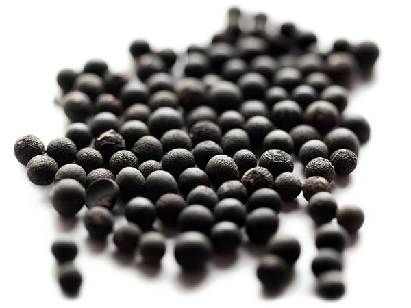 #2 शतावरी