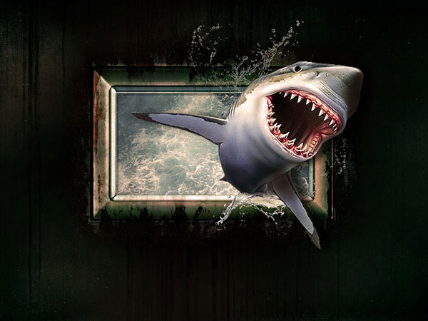 इंसान के गंध को पहचानती है शार्क