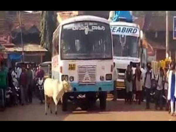 इंसानो के लिए है एक सबक