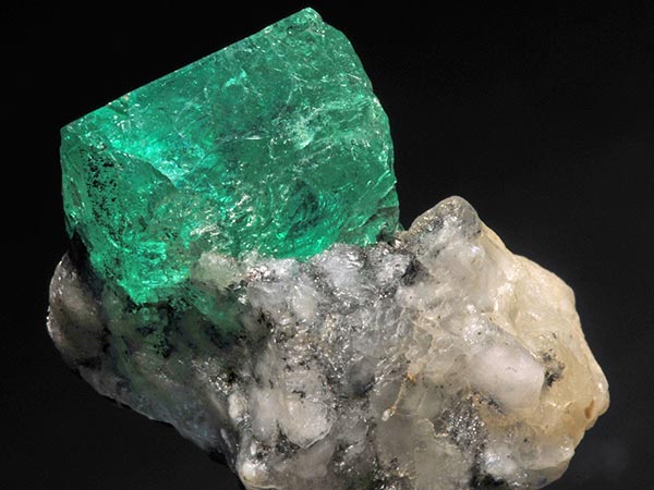 स्मरण शक्ति बढ़ती है