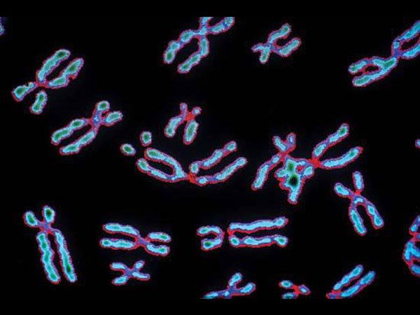 एक्‍स और वाई