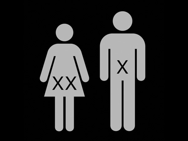 अन्‍य सिद्धांत