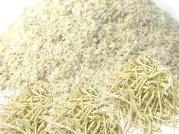 सफेद मूसली 