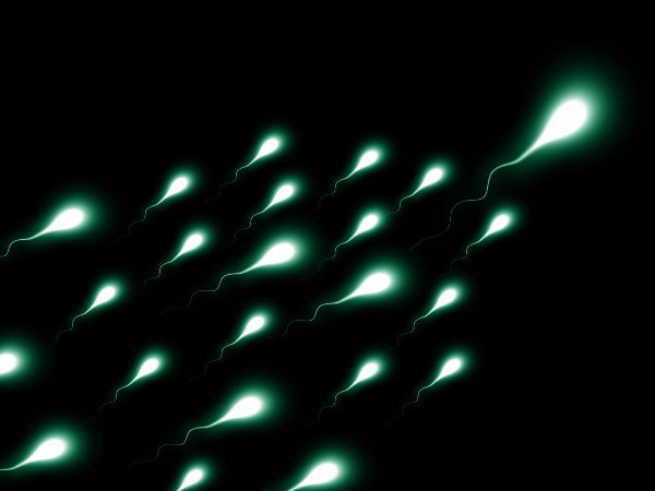 4. शुक्राणु की गतिशीलता में सुधार