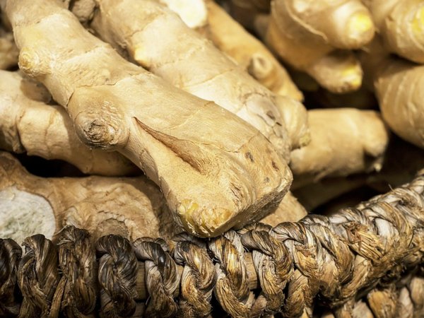 4.कन्दमूल