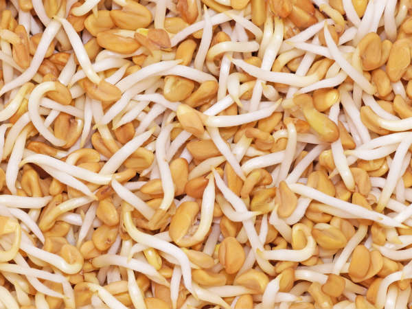 स्‍प्राउट मेथी दाना बनाने की विधि - 