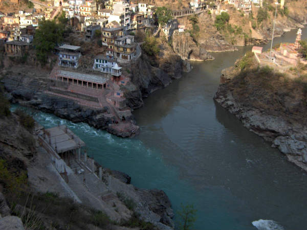 निंजा वायरस की वजह से निंजा वायरस की वजह से