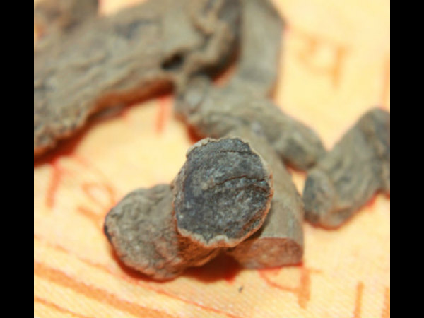 बिजनस में फायदें के लिए 